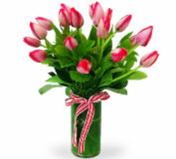 Tulip Vase Pinks Classic