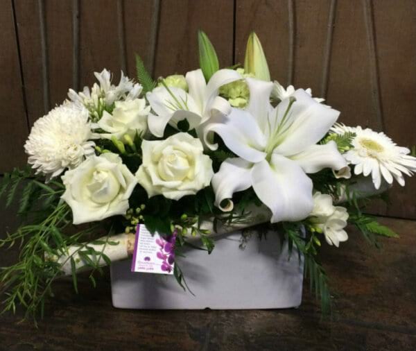 Classic Whites & Greens