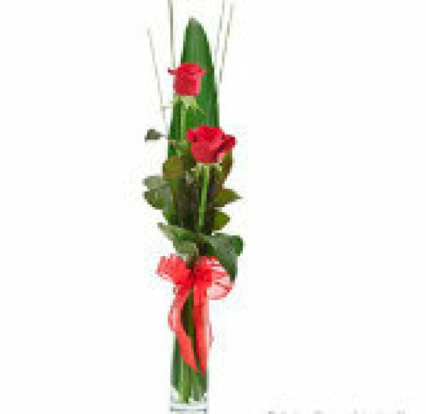 Two Roses in Vase