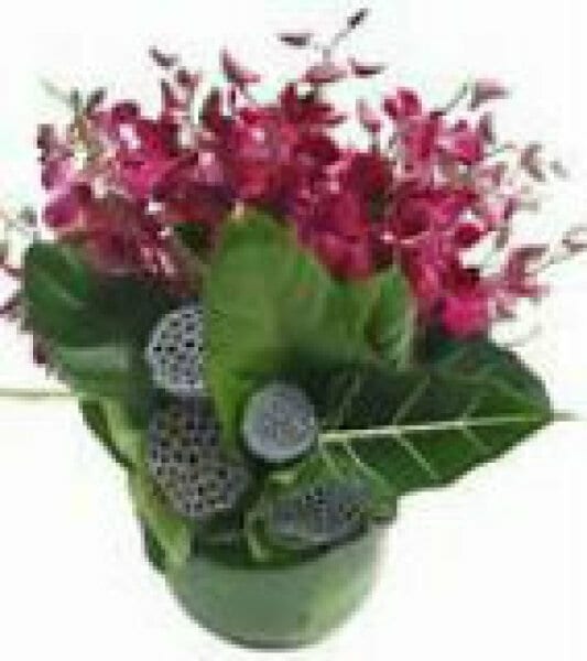 Orchid Ceramic Arrangement Red Deluxe