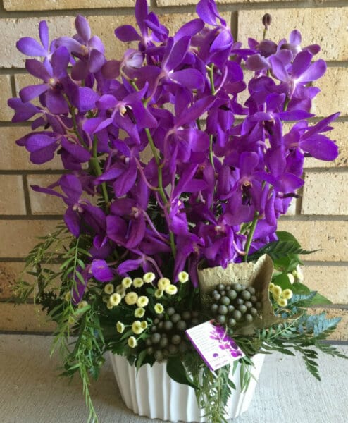 Orchid Ceramic Arrangement Purple Classic