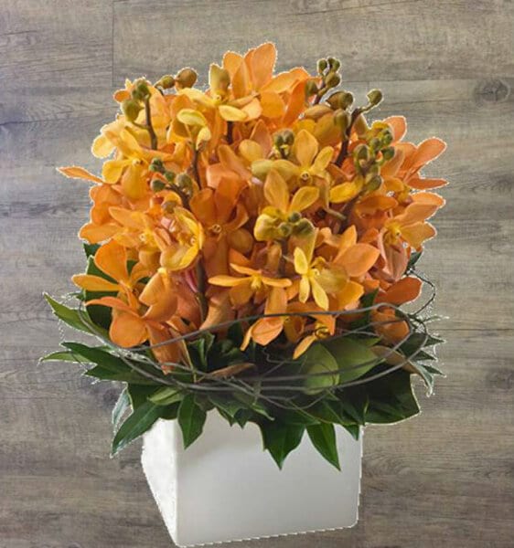 Orchid Ceramic Arrangement Orange Petite
