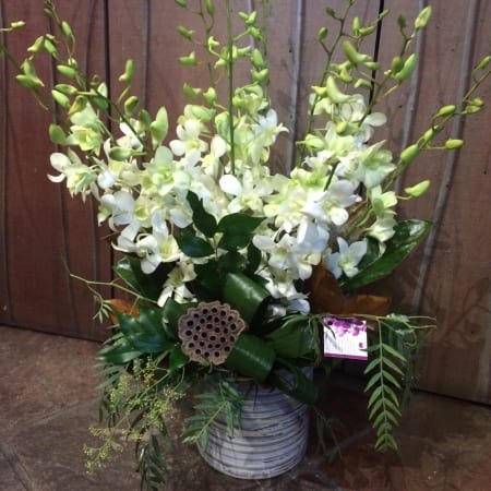 Orchids in Ceramic Arrangement