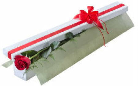 Single Boxed Rose & Chocolates
