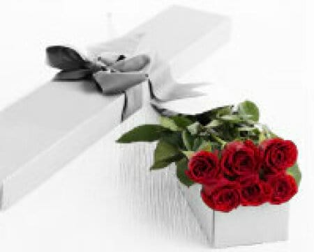 Boxed Roses
