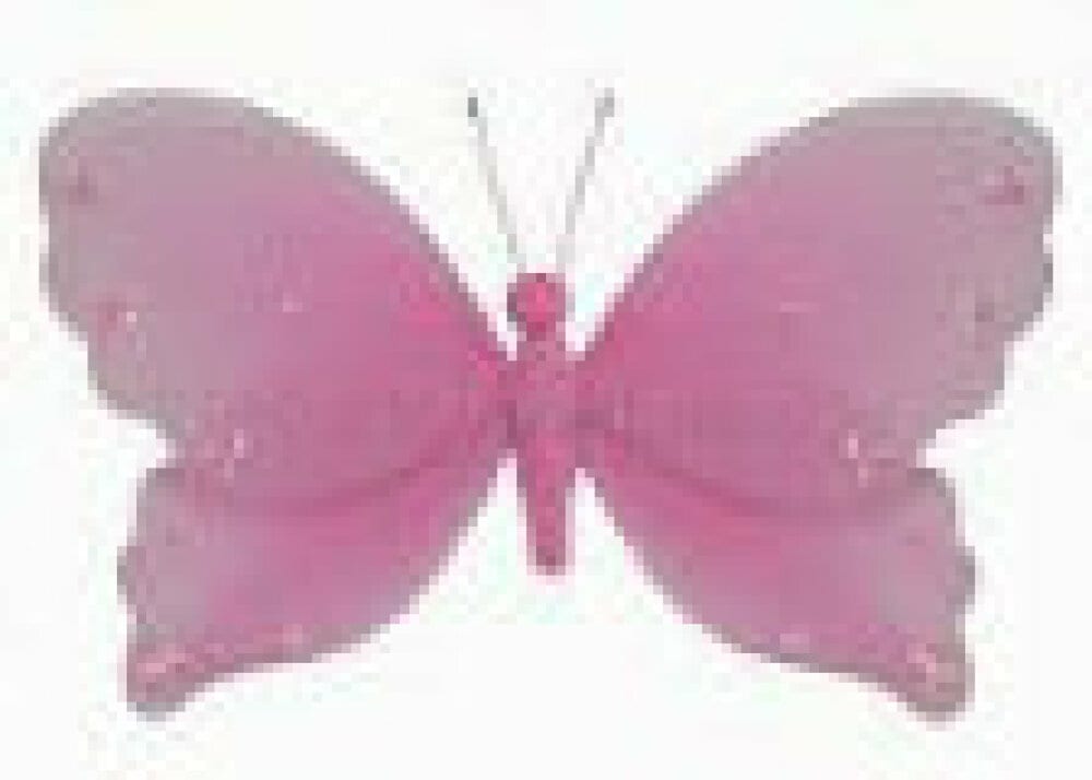 Butterfly Accent