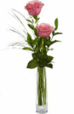 Two Roses in Vase