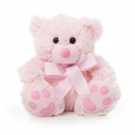 `Soft Cuddle` Teddy Bear Pink