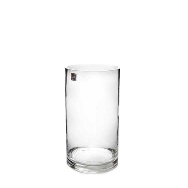 Glass Vase 
